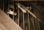 Dead (R.I.P. 1991) 